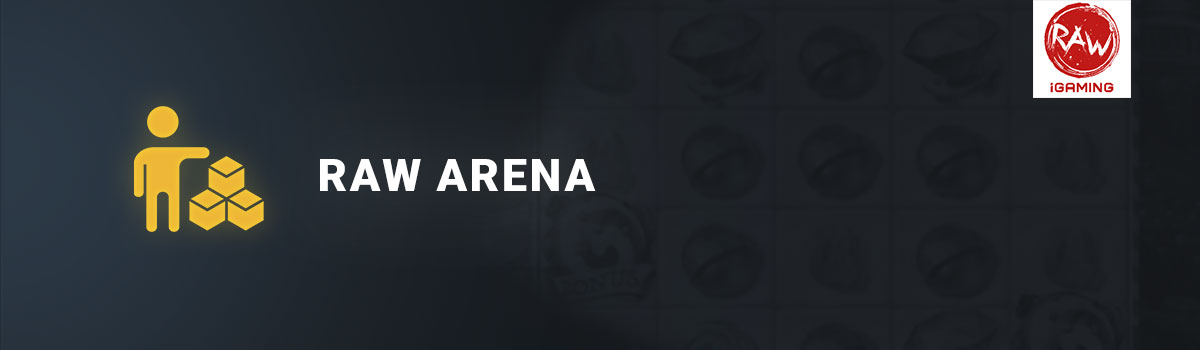 Raw arena provider