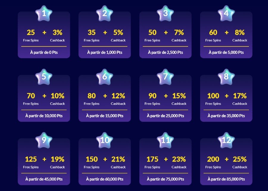 Aperçu du programme fidélité du casino ShinyWilds